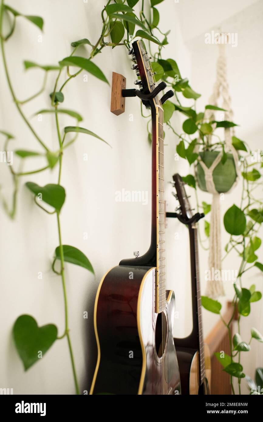 Gros plan de Guitars sur le mur avec l'usine intérieure dans le porte-usine de Macrame Banque D'Images