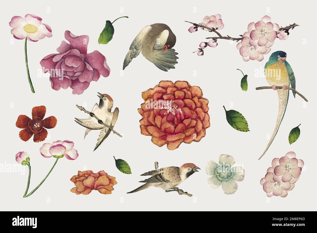 Ensemble de vecteurs de fleurs et d'oiseaux chinois, remix des œuvres d'art de Zhang Ruoai Illustration de Vecteur