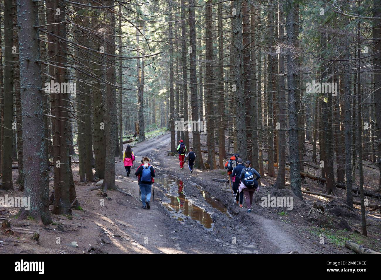 CARPATHIAN MOUNTAINS, UKRAINE - 8 OCTOBRE 2022 Mount Hoverla. Les Carpates en Ukraine en automne. Les touristes se promène à travers les collines et les bois pour grimper jusqu'au sommet de la montagne Hoverla Banque D'Images