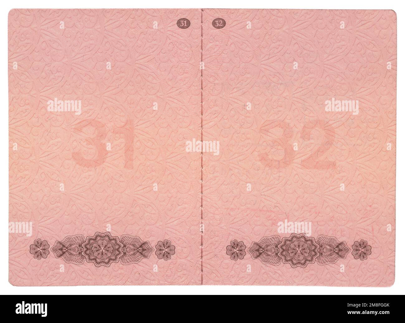 Pages vierges de passeport international de la Fédération de Russie Banque D'Images