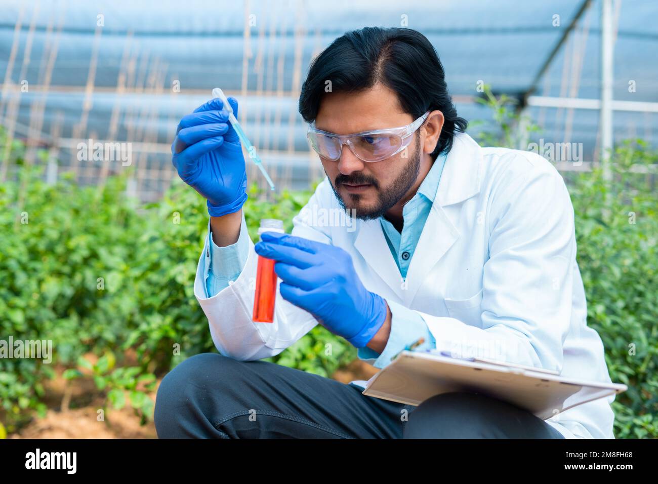 Agro-scientifique à la plantation de serre, qui est occupé à tester en ajoutant des produits chimiques dans le tube à essai - concept de biotechnologie, de recherche et d'expérimentation Banque D'Images