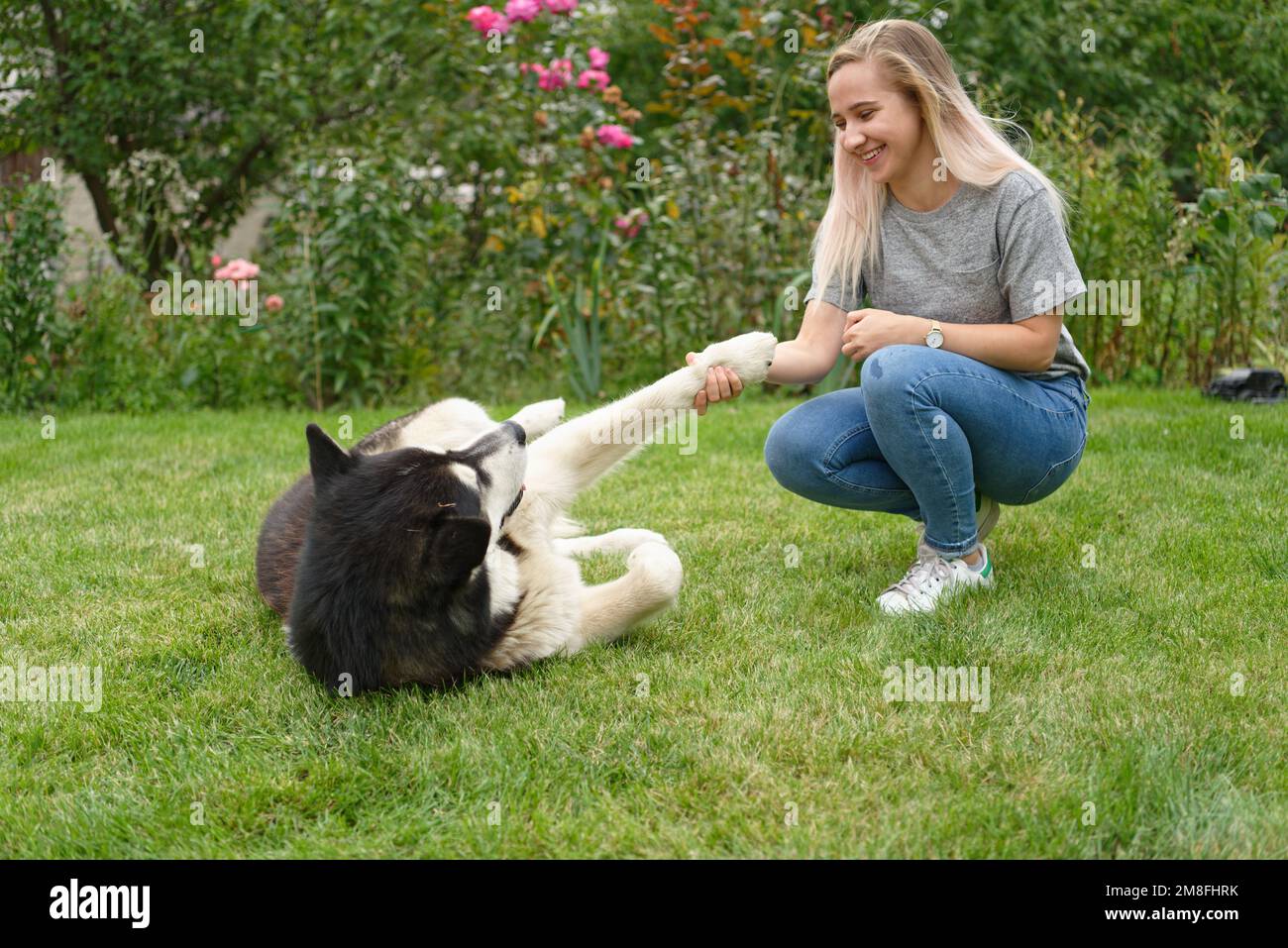 Une fille avec un chien sur une prairie d'herbe verte Banque D'Images