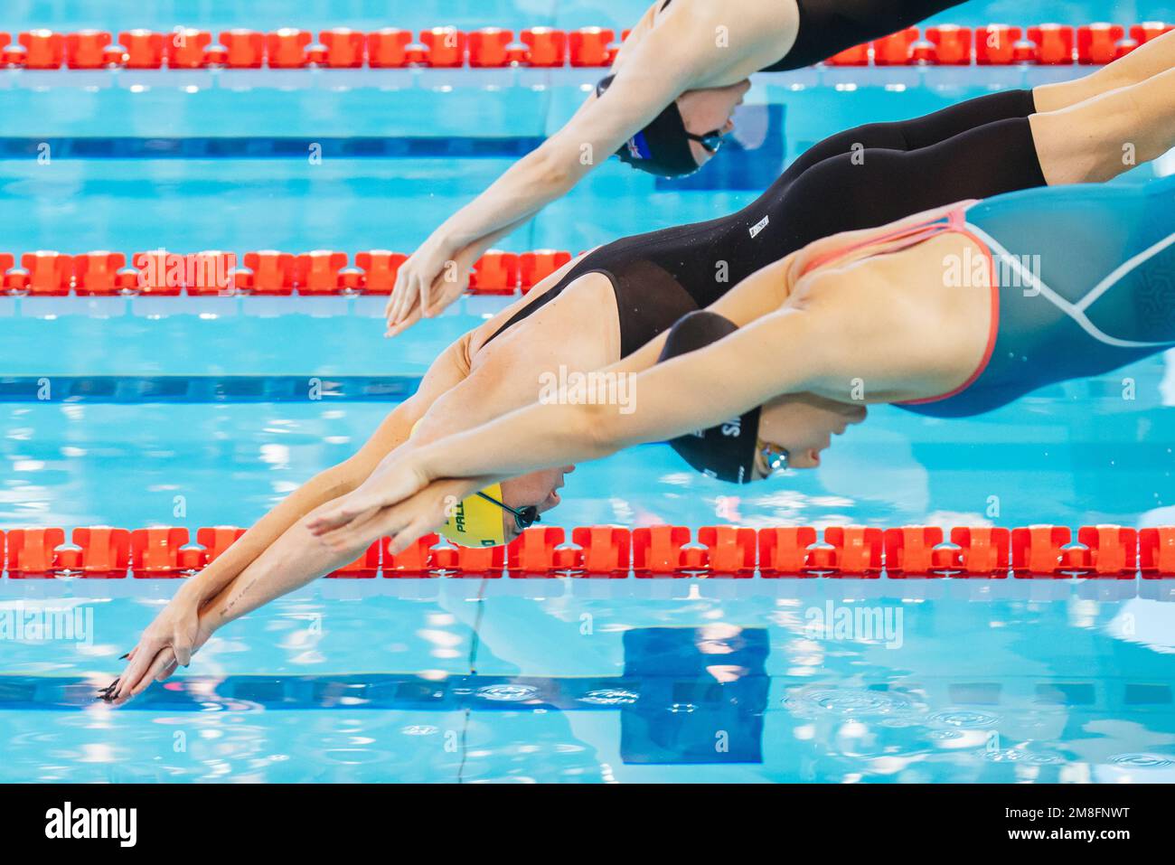 MELBOURNE, AUSTRALIE - DÉCEMBRE 13 : Lani PALLISTER (AUS) participe à la finale Freestyle 400m féminin le premier jour de la nage en court-circuit mondiale de la FINA 2022 Banque D'Images