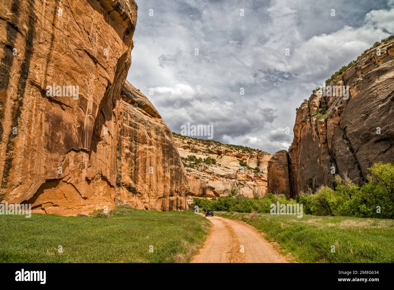 Whispering Cave, près de Steamboat Rock, Echo Park, Dinosaur National Monument, Colorado, ÉTATS-UNIS Banque D'Images