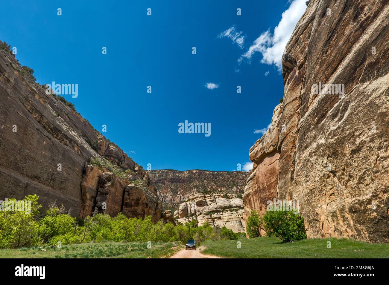 Whispering Cave, près de Steamboat Rock, Echo Park, Dinosaur National Monument, Colorado, ÉTATS-UNIS Banque D'Images
