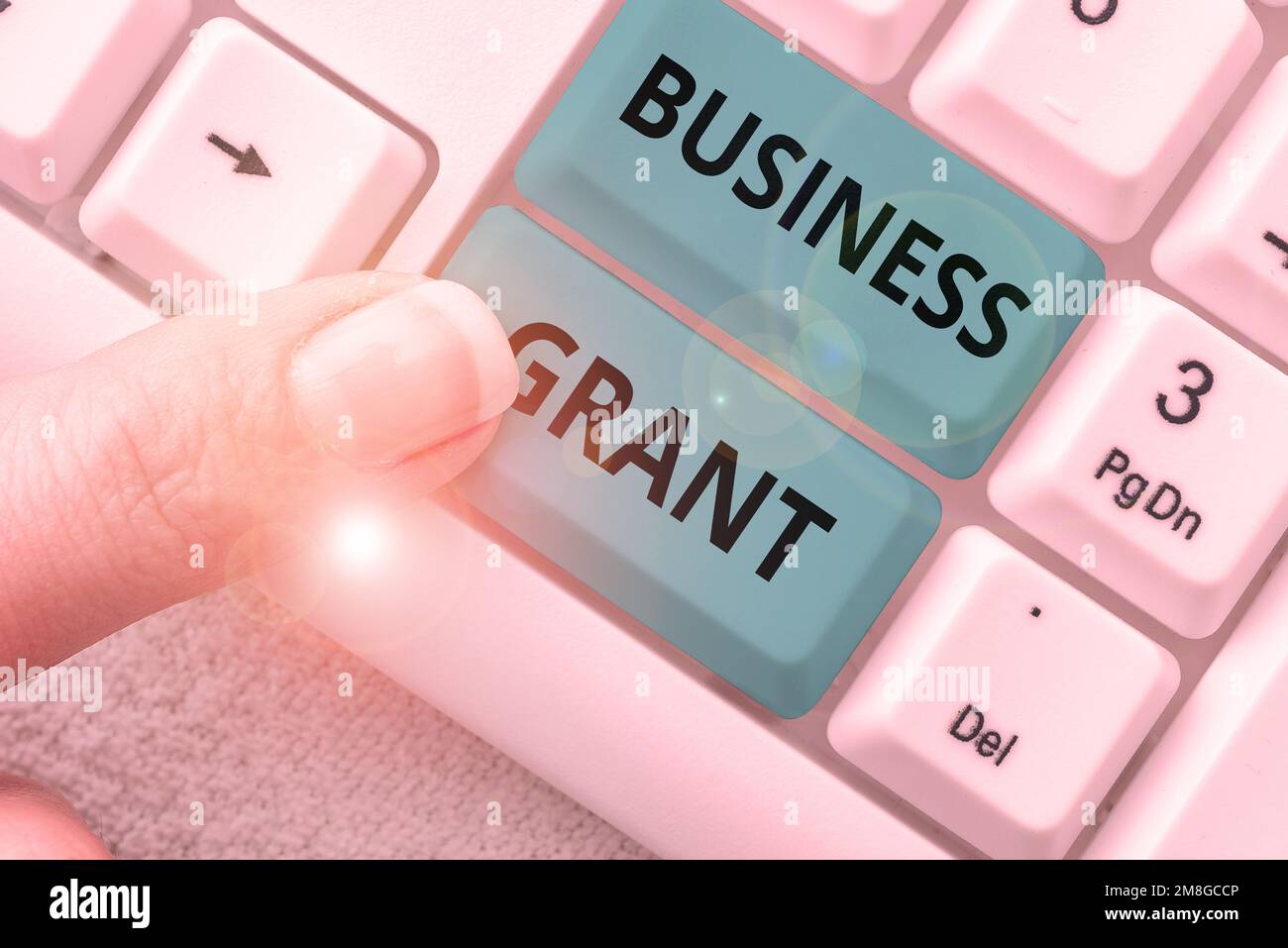 Légende conceptuelle subvention d'entreprise. Aperçu de l'entreprise les stratégies de travail permettent d'atteindre les objectifs Banque D'Images