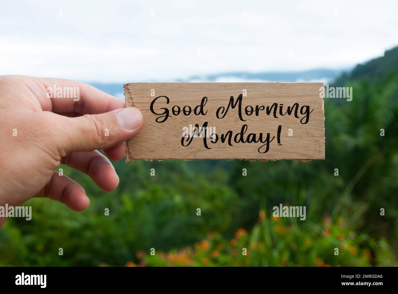Main tenant une bannière en bois avec le texte du lundi matin. Avec un magnifique fond de nature. Banque D'Images