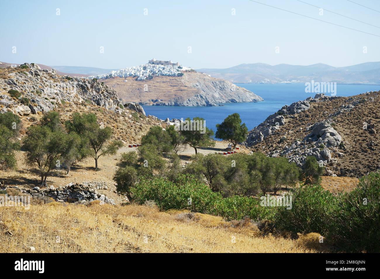 Pins et vue paisible sur les îles chora et Astypalaia, Grèce Banque D'Images