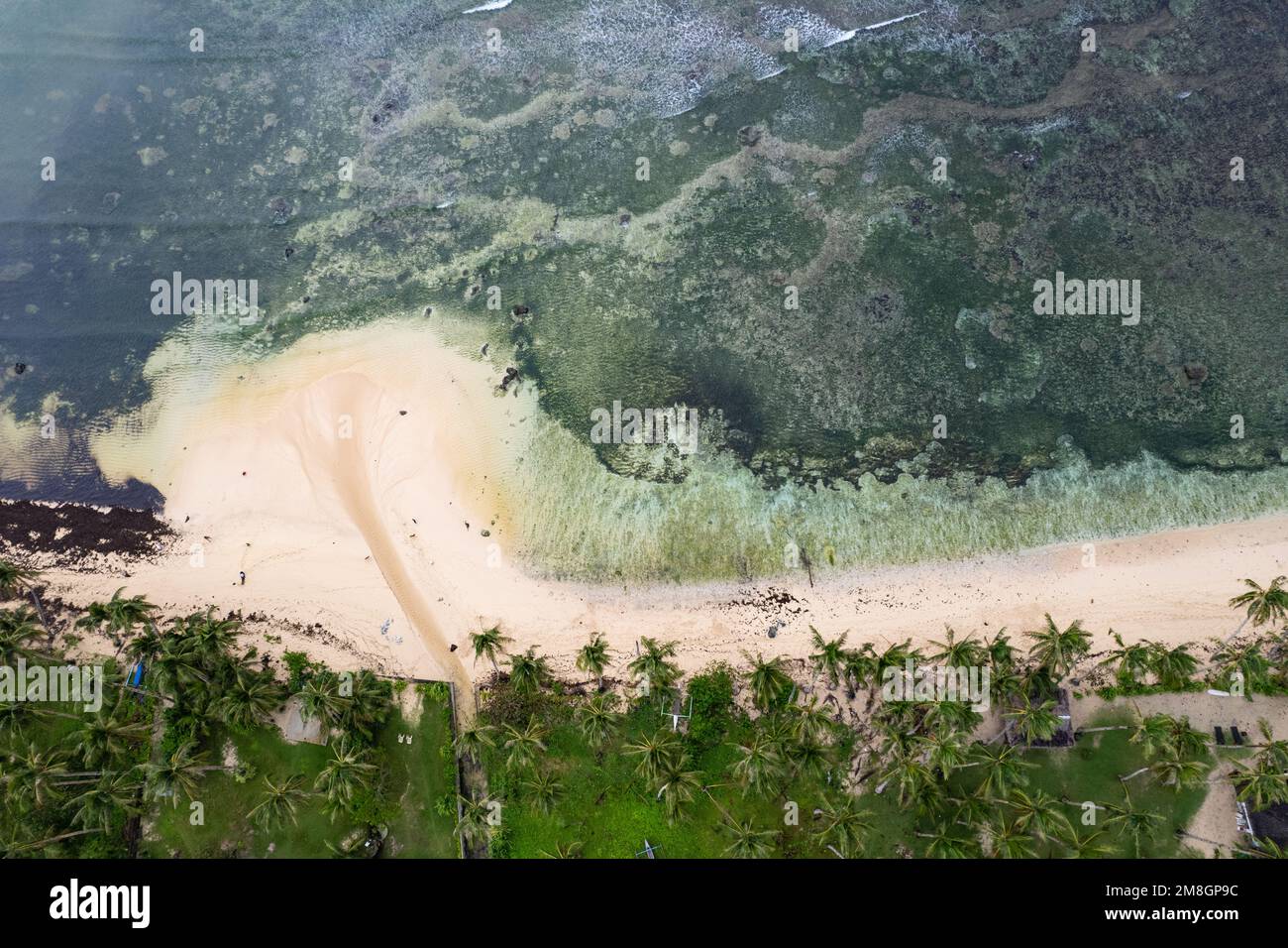 Plage sur l'île de Siargao, Philippines vue d'en haut, photo de drone Banque D'Images