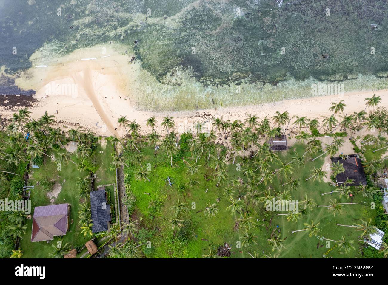 Plage sur l'île de Siargao, Philippines vue d'en haut, photo de drone Banque D'Images