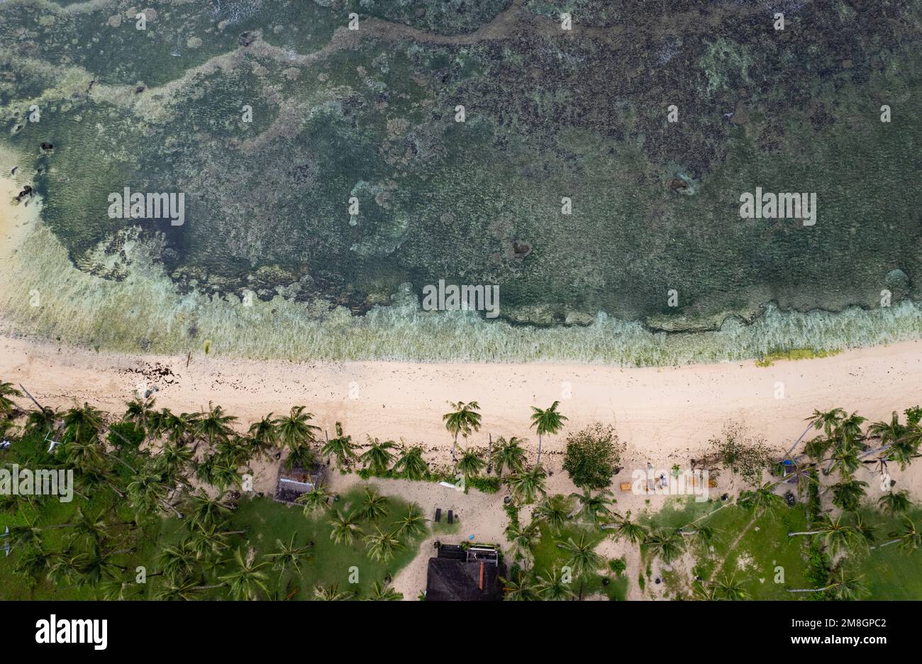 Plage sur l'île de Siargao, Philippines vue d'en haut, photo de drone Banque D'Images