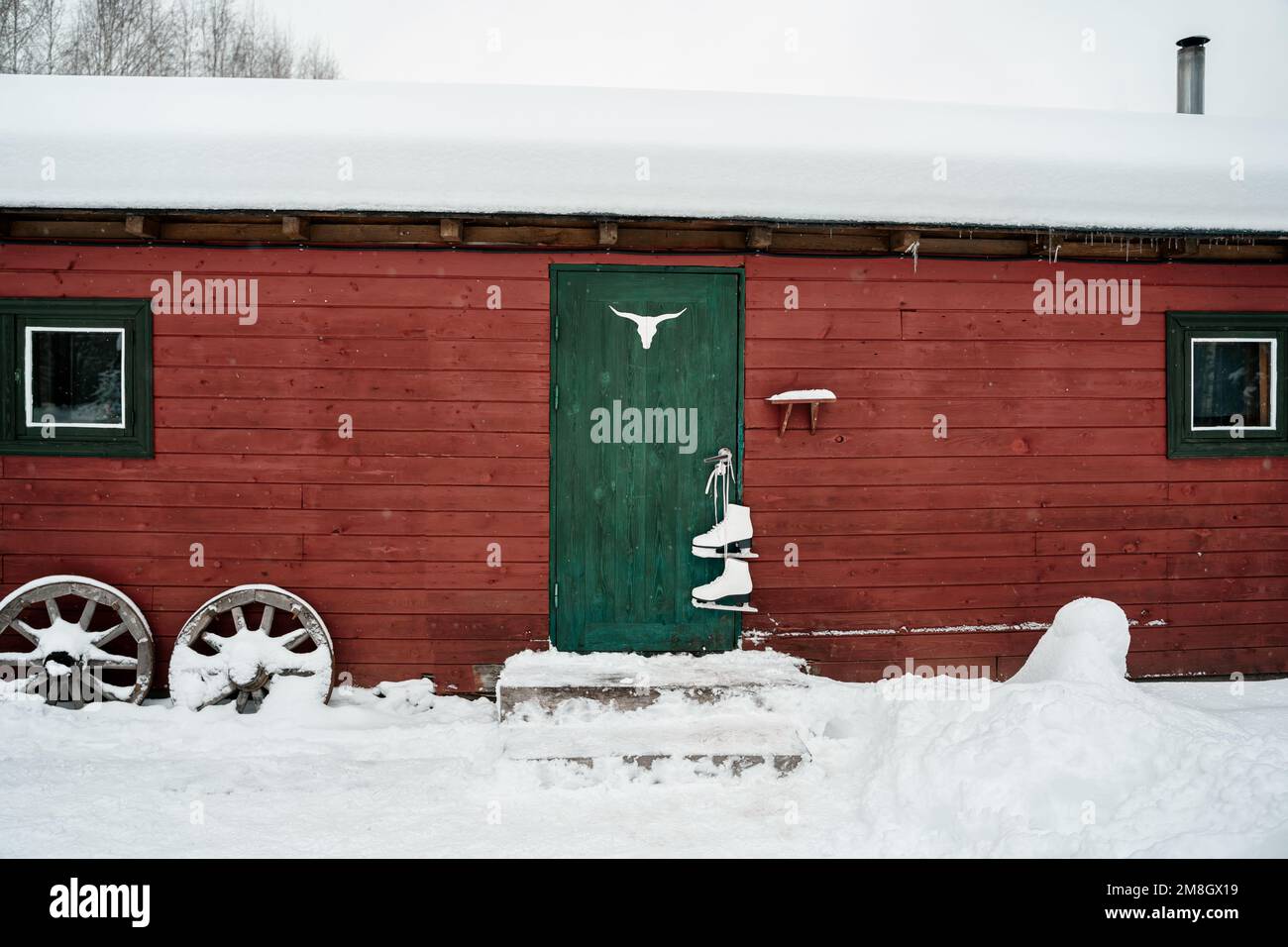 Grange rouge, porte verte, patins blancs suspendus. Deer elk bull bois.Snowy hiver froid dans la campagne.Patinage,avoir plaisir,rire.vêtements élégants, Banque D'Images