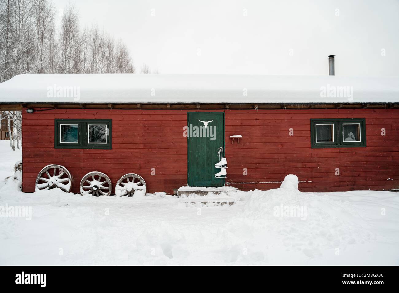 Grange rouge, porte verte, patins blancs suspendus. Deer elk bull bois.Snowy hiver froid dans la campagne.Patinage,avoir plaisir,rire.vêtements élégants, Banque D'Images