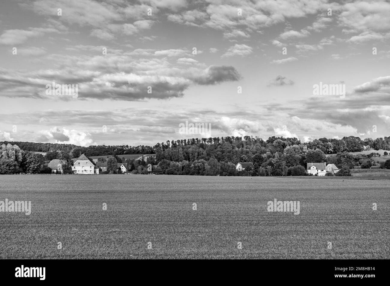 Paysage rural avec des champs dans la région de Lippe à Horn, village de Fromhausen, Allemagne Banque D'Images