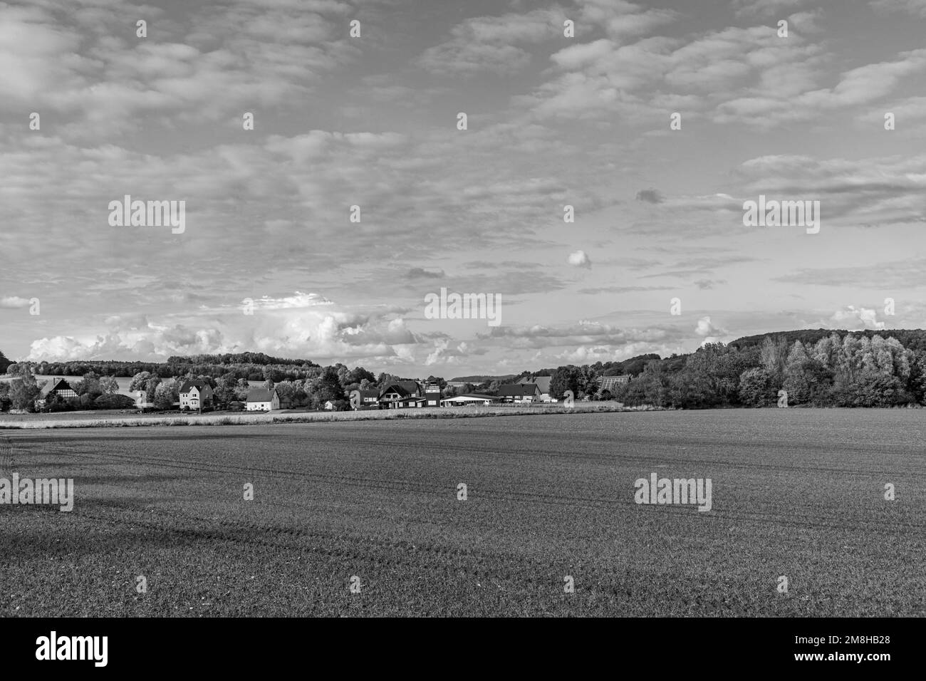 Paysage rural avec des champs dans la région de Lippe à Horn, village de Fromhausen, Allemagne Banque D'Images