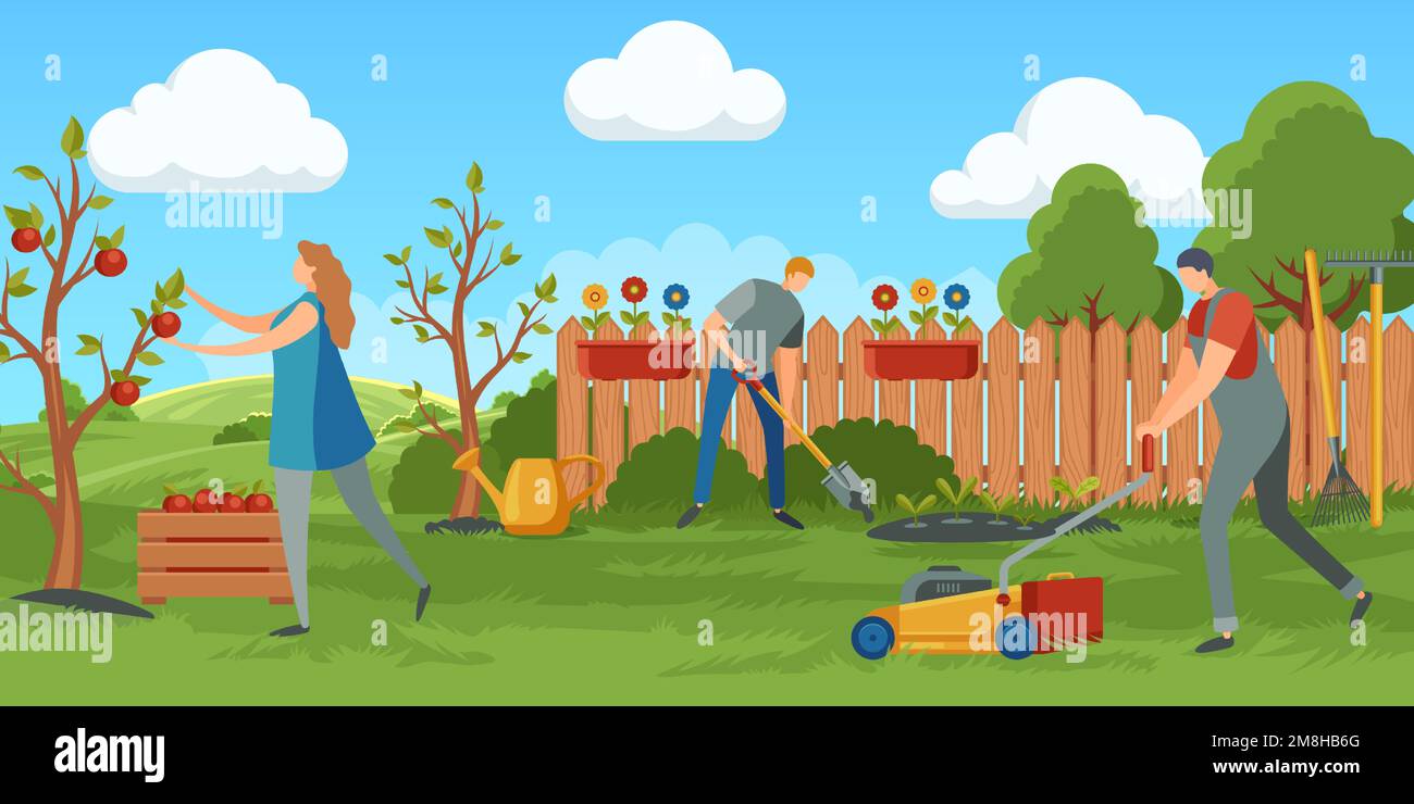 Personnes travaillant dans le jardin. Femme collectant les pommes de l'arbre dans un récipient. Homme coupant de l'herbe avec la tondeuse Illustration de Vecteur
