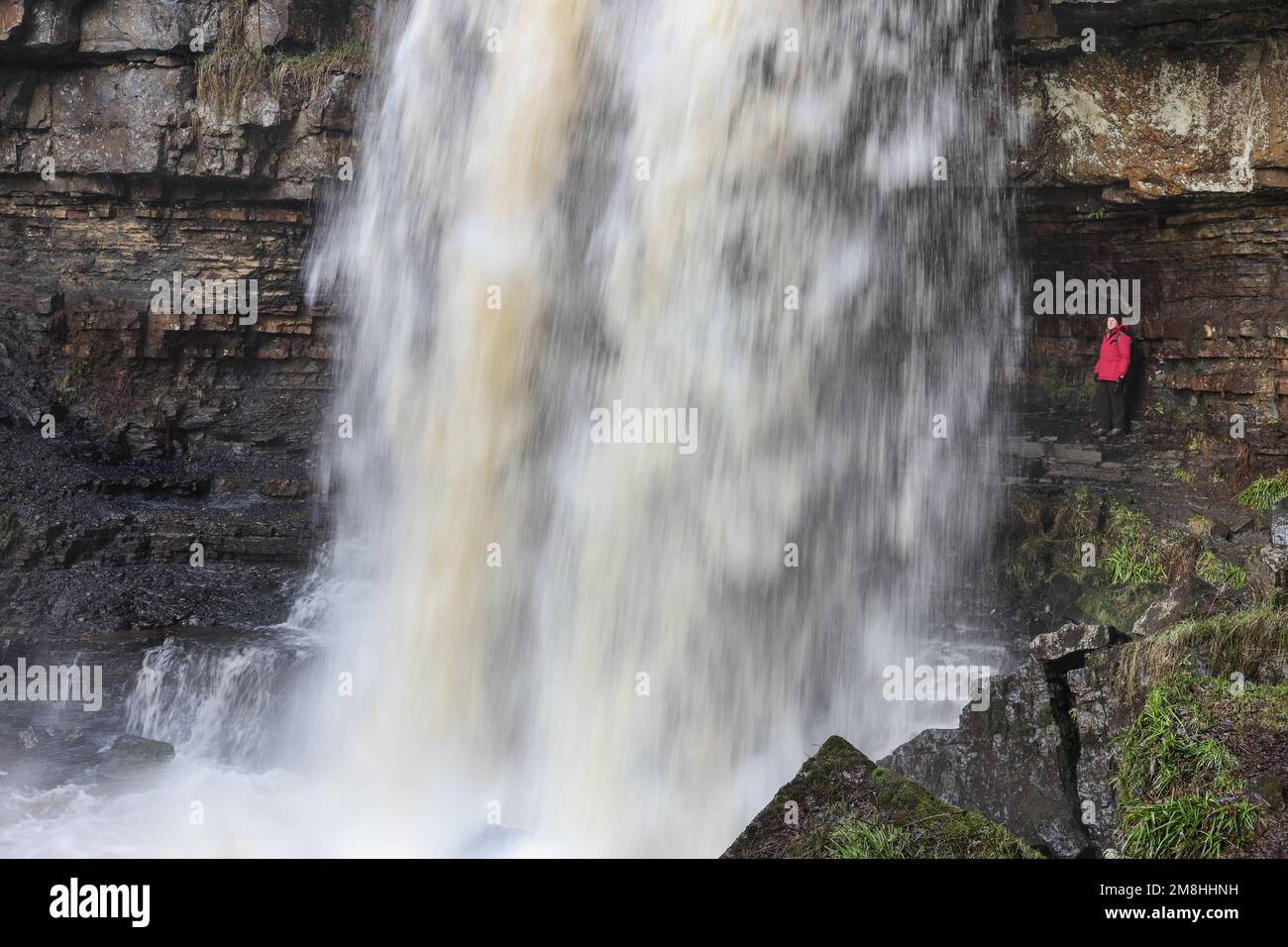 Ashgill Force, Garrigill, Cumbria, Royaume-Uni. 14th janvier 2023. Météo Royaume-Uni. Les randonneurs apprécient le spectacle d'un pillage des eaux de crue au-dessus de Ashgill Force après une forte pluie de nuit a frappé Cumbria. Crédit : David Forster/Alamy Live News Banque D'Images