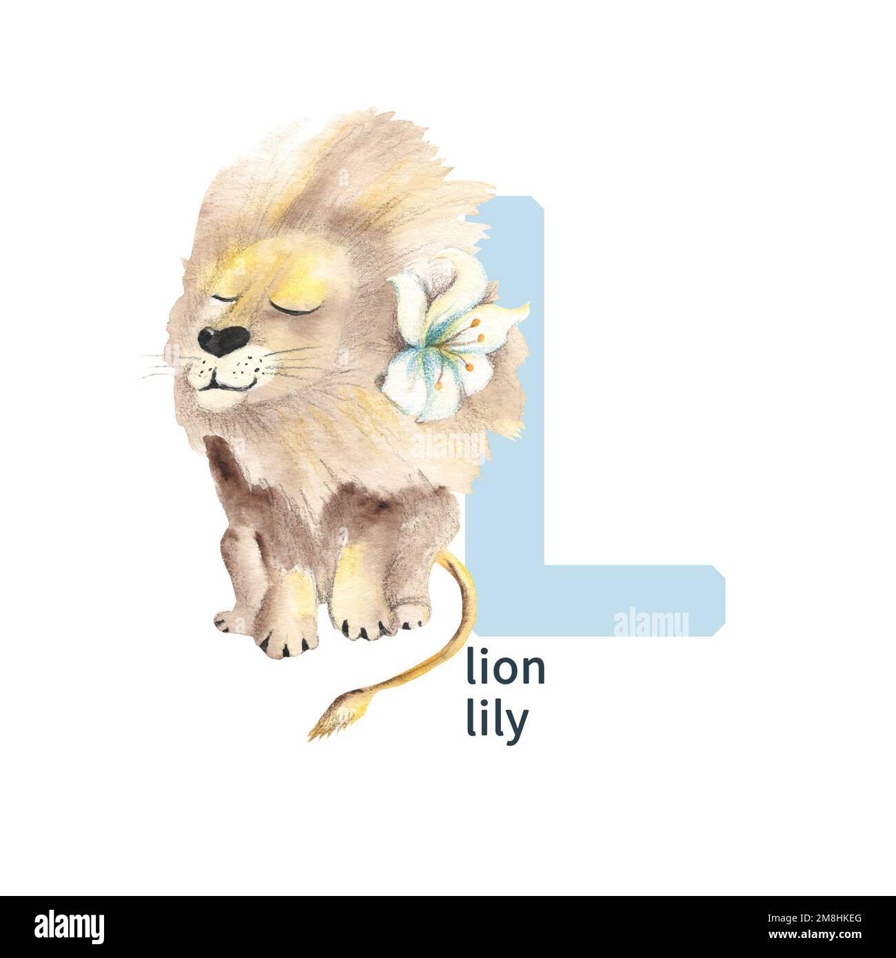 Lettre L, lion et nénuphars, animaux colorés et alphabet ABC de fleur pour enfants. Illustration aquarelle isolée sur fond blanc. Peut être utilisé pour Banque D'Images