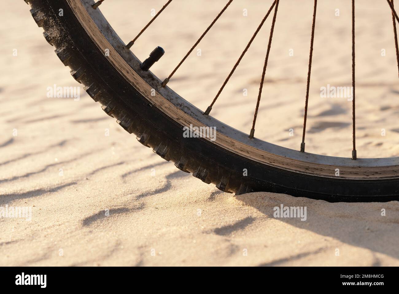 Roue de vélo sur le sable dans le désert en gros plan Banque D'Images