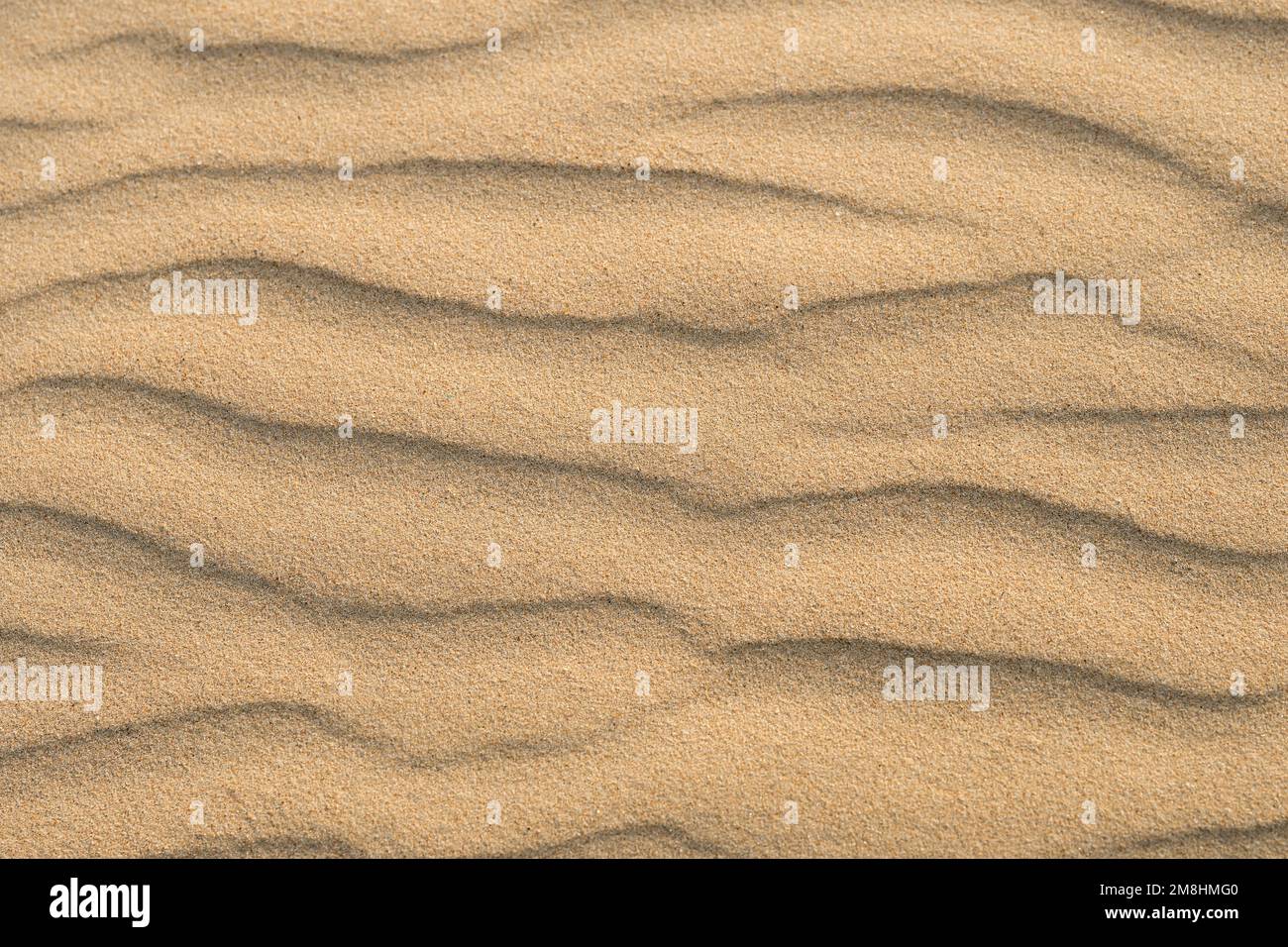 Fond de sable avec dunes. Texture du désert de sable Banque D'Images