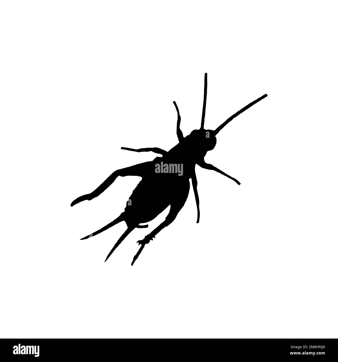 Icône insecte de cricket. Symbole de fond d'affiche de la science des insectes de style simple. Élément de conception du logo de marque d'insecte de cricket. Impression de t-shirts à motif insectes de cricket. Illustration de Vecteur