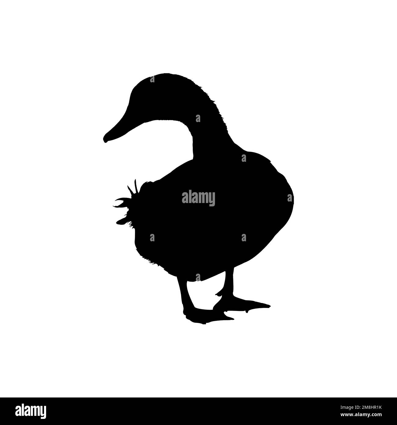 Icône canard. Billet de jardin zoologique de style simple, grand symbole d'arrière-plan de l'affiche de vente. Élément de conception du logo de la marque Duck. Imprimé t-shirt de canard. Illustration de Vecteur