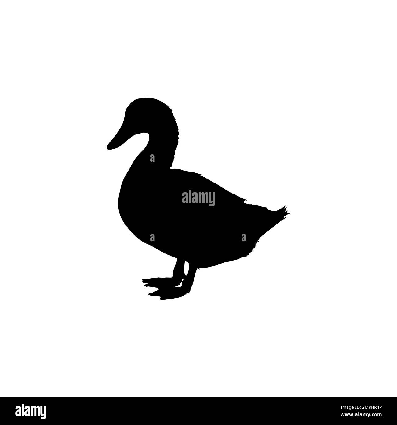 Icône canard. Billet de jardin zoologique de style simple, grand symbole d'arrière-plan de l'affiche de vente. Élément de conception du logo de la marque Duck. Imprimé t-shirt de canard. Illustration de Vecteur