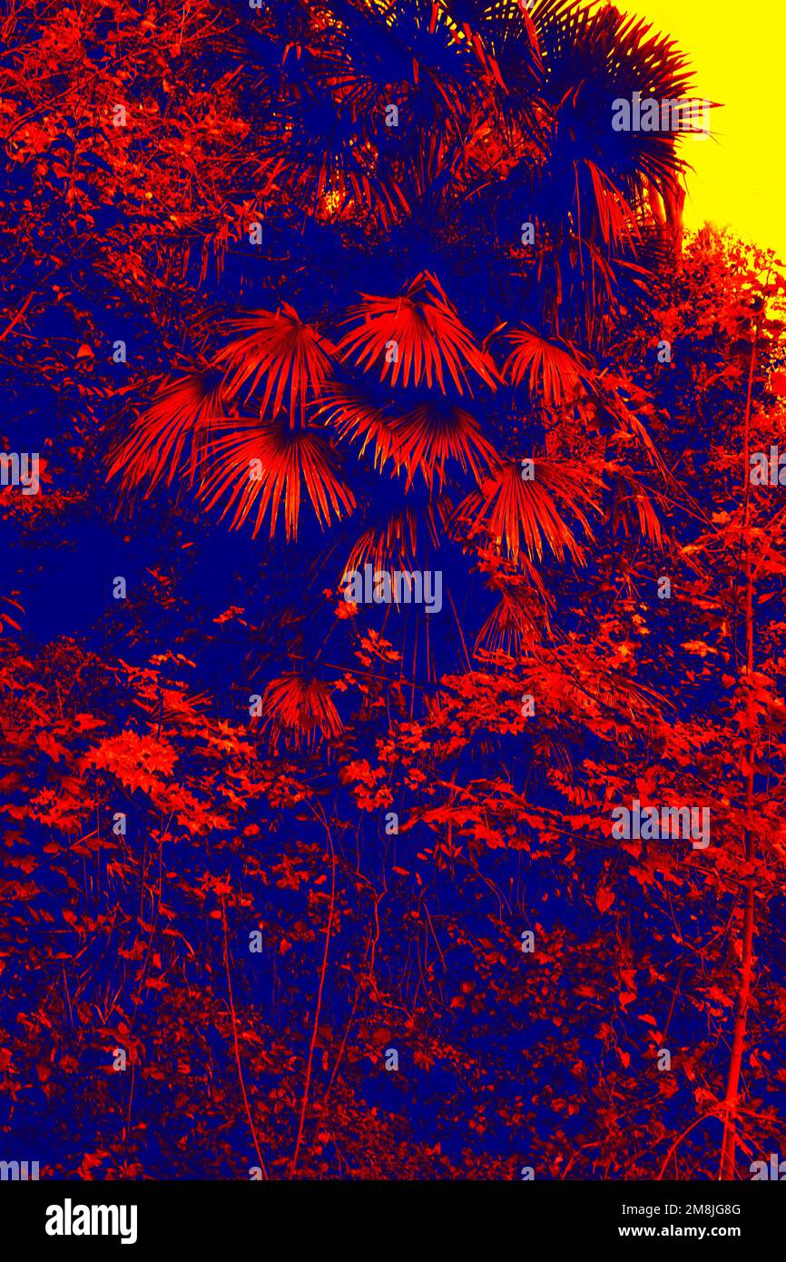 Le jardin botanique comme branche du jardin d'Eden. Illustration de l'image thermique Banque D'Images