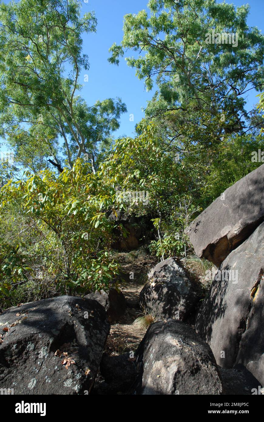 Sentier de randonnée escarpé et étroit de Picnic Bay à Hawkings point, Magnetic Island, Queensland, Australie Banque D'Images