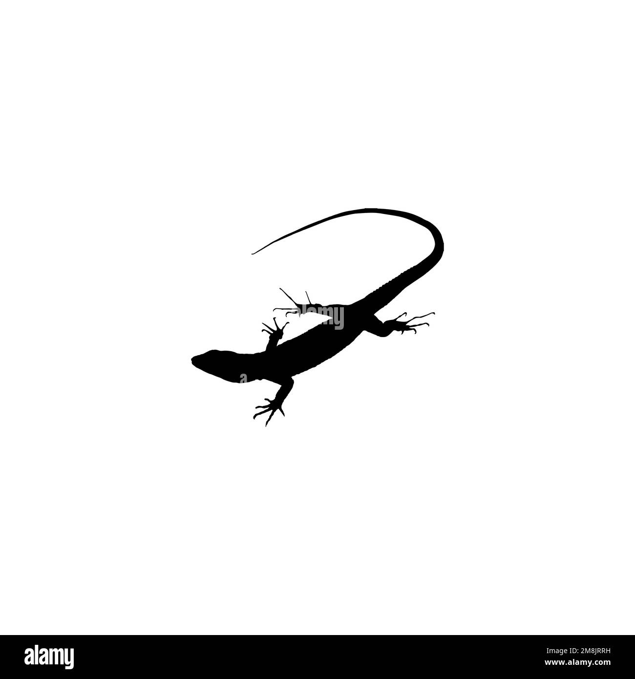 Icône Gecko. Symbole d'arrière-plan de l'affiche d'information sur les reptiles de style simple. Élément de conception du logo de marque Gecko. Impression de t-shirts Gecko. vecteur pour autocollant. Illustration de Vecteur