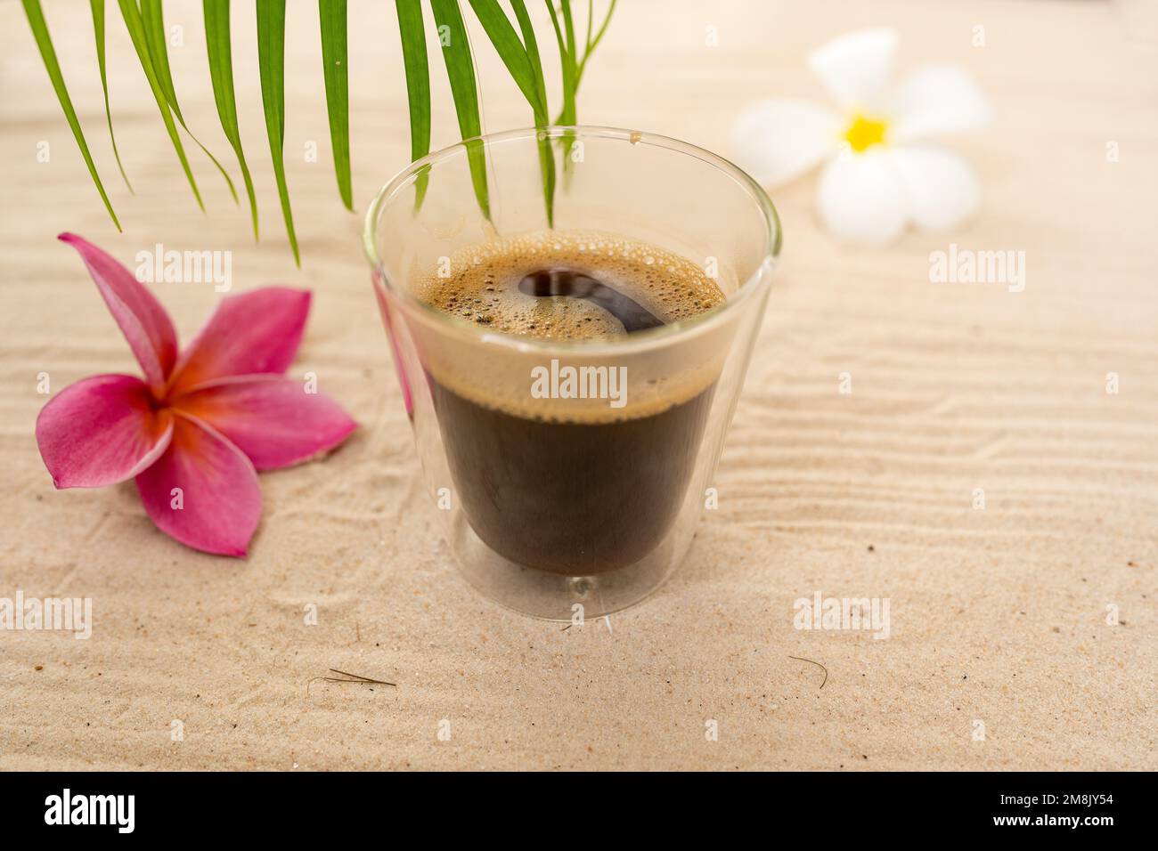 Tasse en verre transparent avec café expresso et fleurs Plumeria blanches et roses sur le sable Banque D'Images