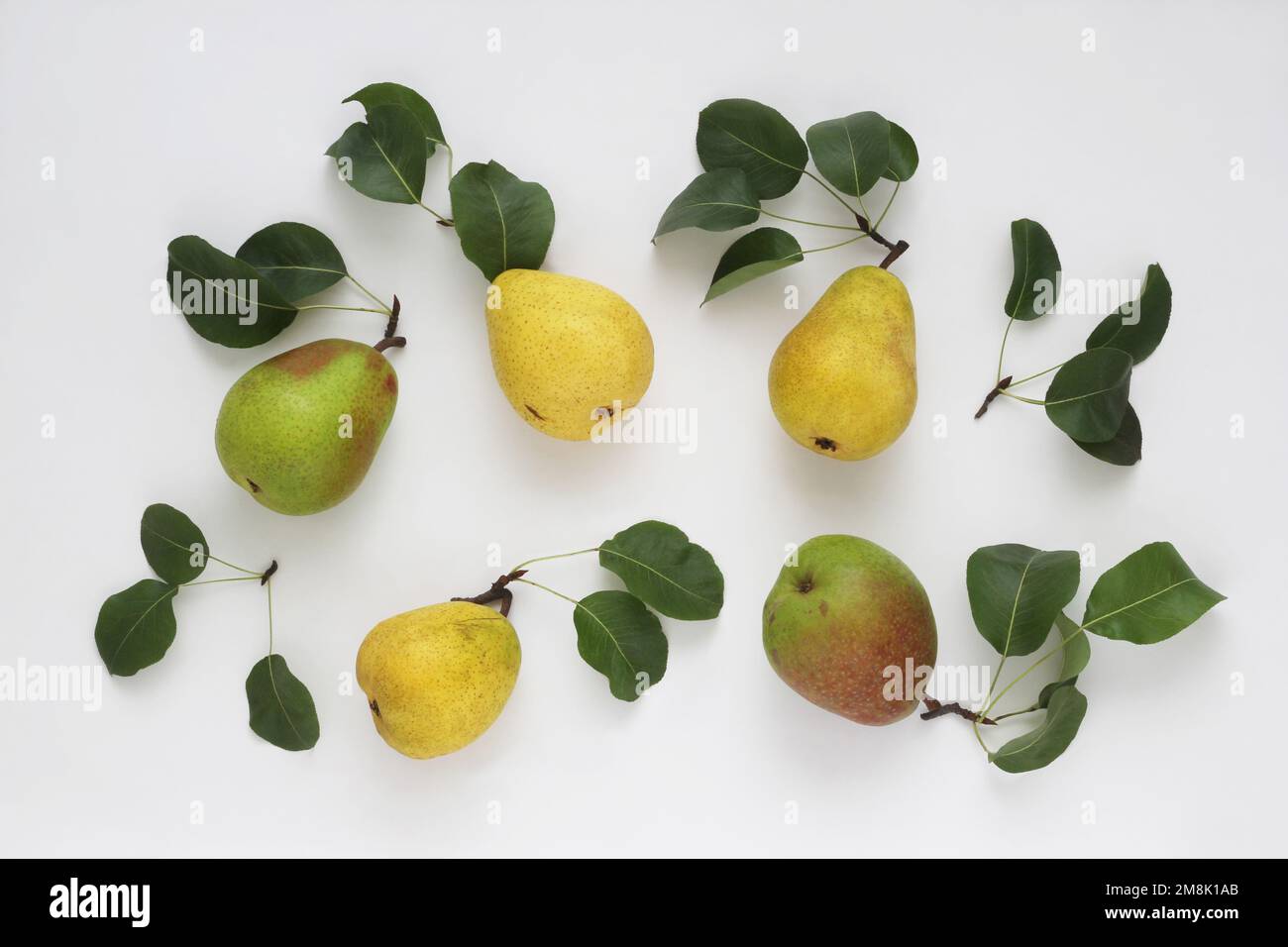 Ensemble de fruits frais de poire jaune rouge vert avec feuilles sur fond blanc, vue sur le dessus de la table du studio. Composition de la pose à plat. Banque D'Images