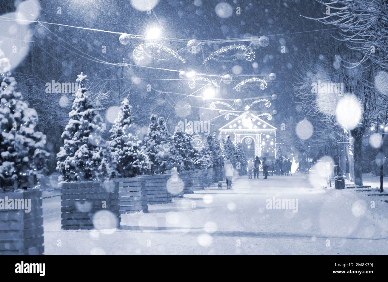 Rue de la ville pendant les chutes de neige pendant la nuit d'hiver. Beaucoup d'arbres de Noël décorés, éclairage, décoration sur la rue. Fête de Noël du nouvel an. Lanternes sur les arbres. Couleur bleue Banque D'Images