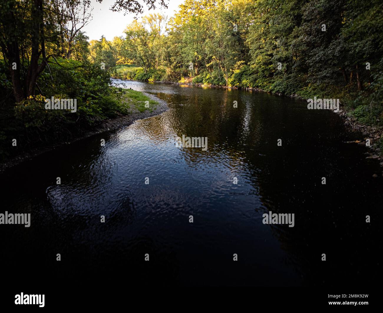 Photo d'une rivière et d'arbres pris par un drone Banque D'Images