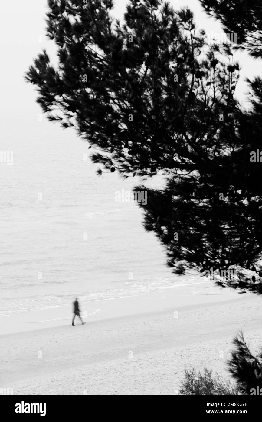 Personne seule marchant sur la plage en hiver Banque D'Images