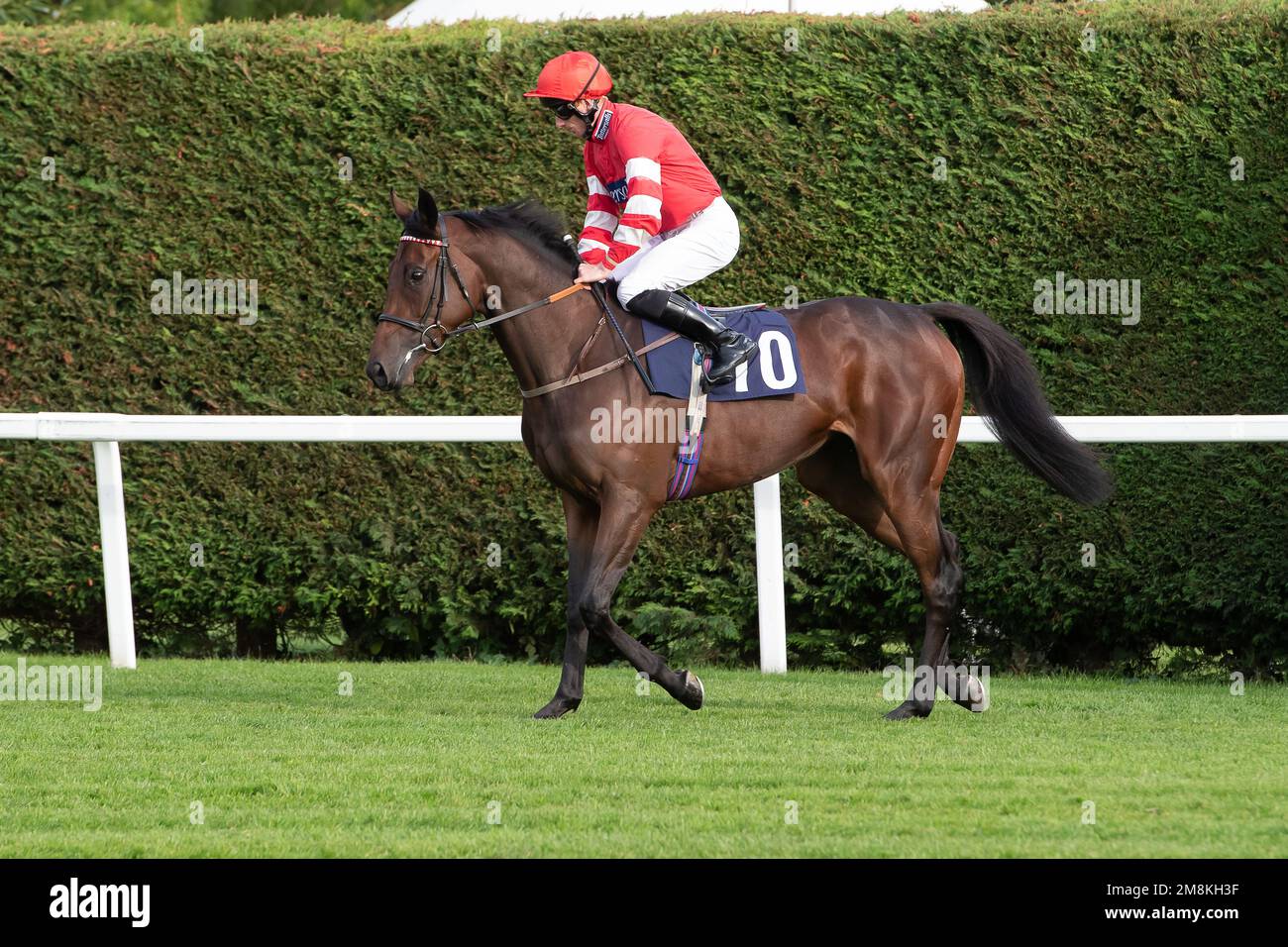 Windsor, Berkshire, Royaume-Uni. 3rd octobre 2022. Le cheval Zouzanna, monté par le jockey Thomas Greatrex, se dirige vers la piste de racktrack pour l'application conseils d'experts sur les courses, les enjeux de la novice de Fillies (classe 5). Crédit : Maureen McLean/Alay Banque D'Images