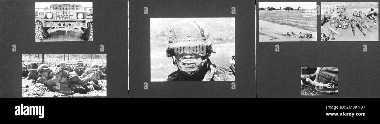 Images de guerre en noir et blanc Banque de photographies et d’images à