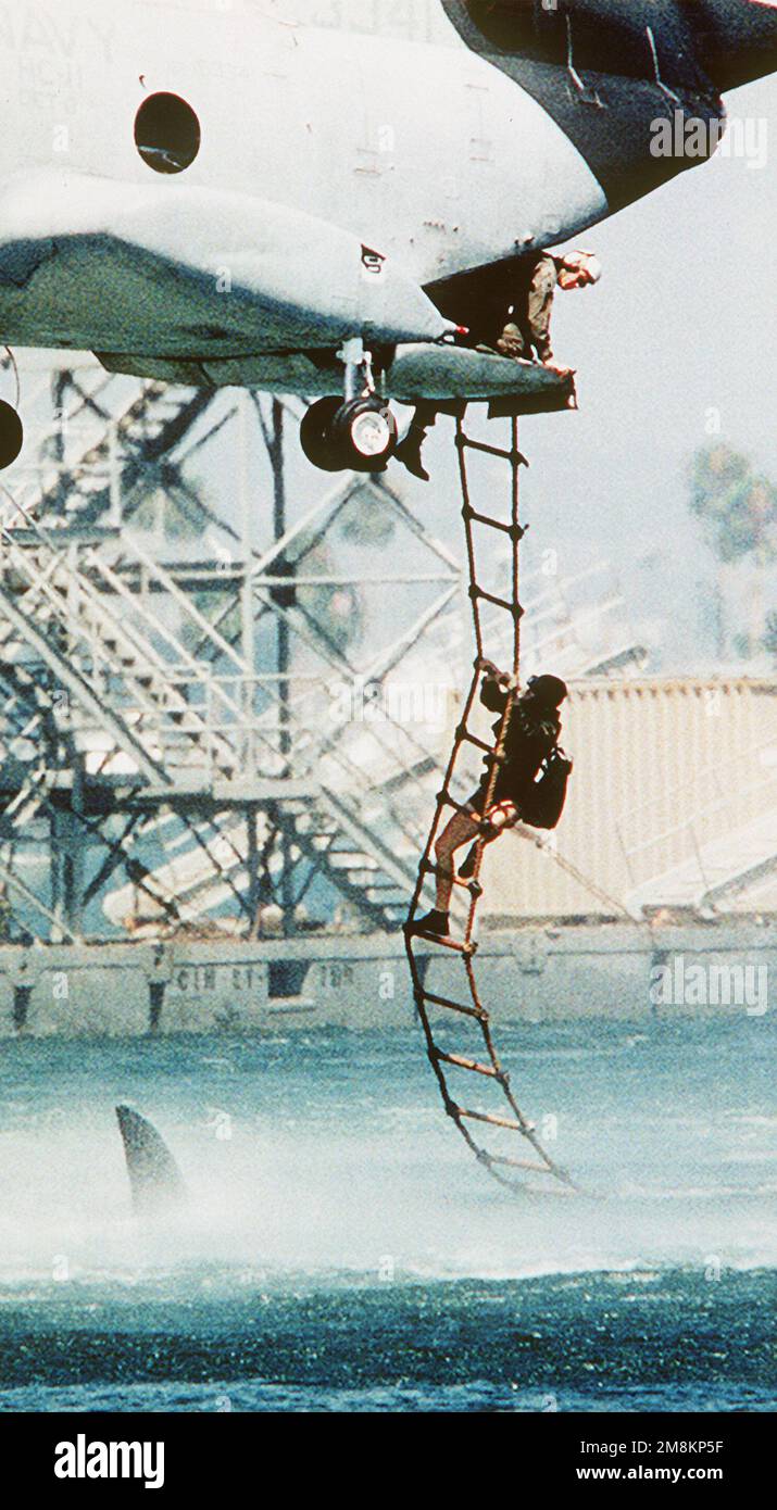Photographe militaire de l'année gagnant 1996 titre: Attaque de requin Catégorie: Feature place: Third place brève Description: Un soldat saisit l'échelle de corde étendue de l'arrière d'un hélicoptère alors qu'une nageoire de requin passe dans l'eau près du dessous. Date exacte prise de vue inconnue. Pays : inconnu Banque D'Images