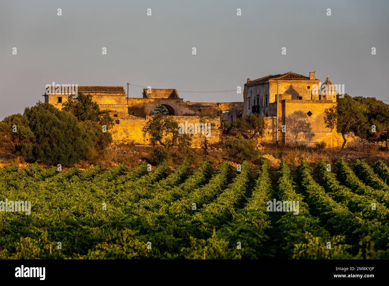 Italy sicily marsala marsala wine Banque de photographies et d'images à  haute résolution - Alamy
