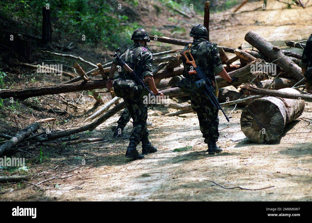 Les soldats hongrois délèchent une route bloquée par des membres et des billes d'arbres, pendant la phase pratique d'application de l'entraînement aux opérations de convoi, dans le cadre de l'entraînement situationnel Exercise1 (STX-1), au Camp Lejeune, NC pendant l'opération COOPÉRATIVE OSPREY 96. Un soldat est armé d'un fusil d'assaut AK-74 avec une mitrailleuse pliante et l'autre d'une mitrailleuse bulgare PK Kalashnikov de 7,62 mm. Les soldats hongrois désillrent une route bloquée par des membres et des billes d'arbres, pendant la phase pratique d'application de l'entraînement aux opérations de convoi, dans le cadre de l'entraînement situationnel ExerciseÐ1 (STX-1), au Camp Lejeune, NC pendant l'opération COOP Banque D'Images