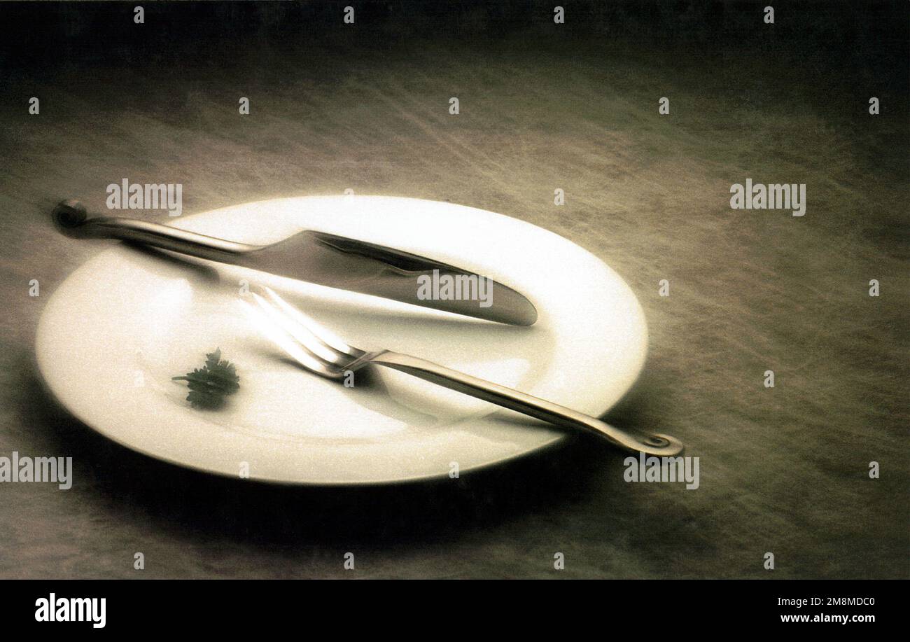 Photographe militaire de l'année gagnant 1997 titre: Manger de la lumière Catégorie: Illustration lieu: 3rd place Date exacte prise de vue inconnue Légende: Exposition-f/11 à 30 secondes avec une couche de vaseline ISO 25 sur la lentille pour effet doux. Pays : inconnu Banque D'Images