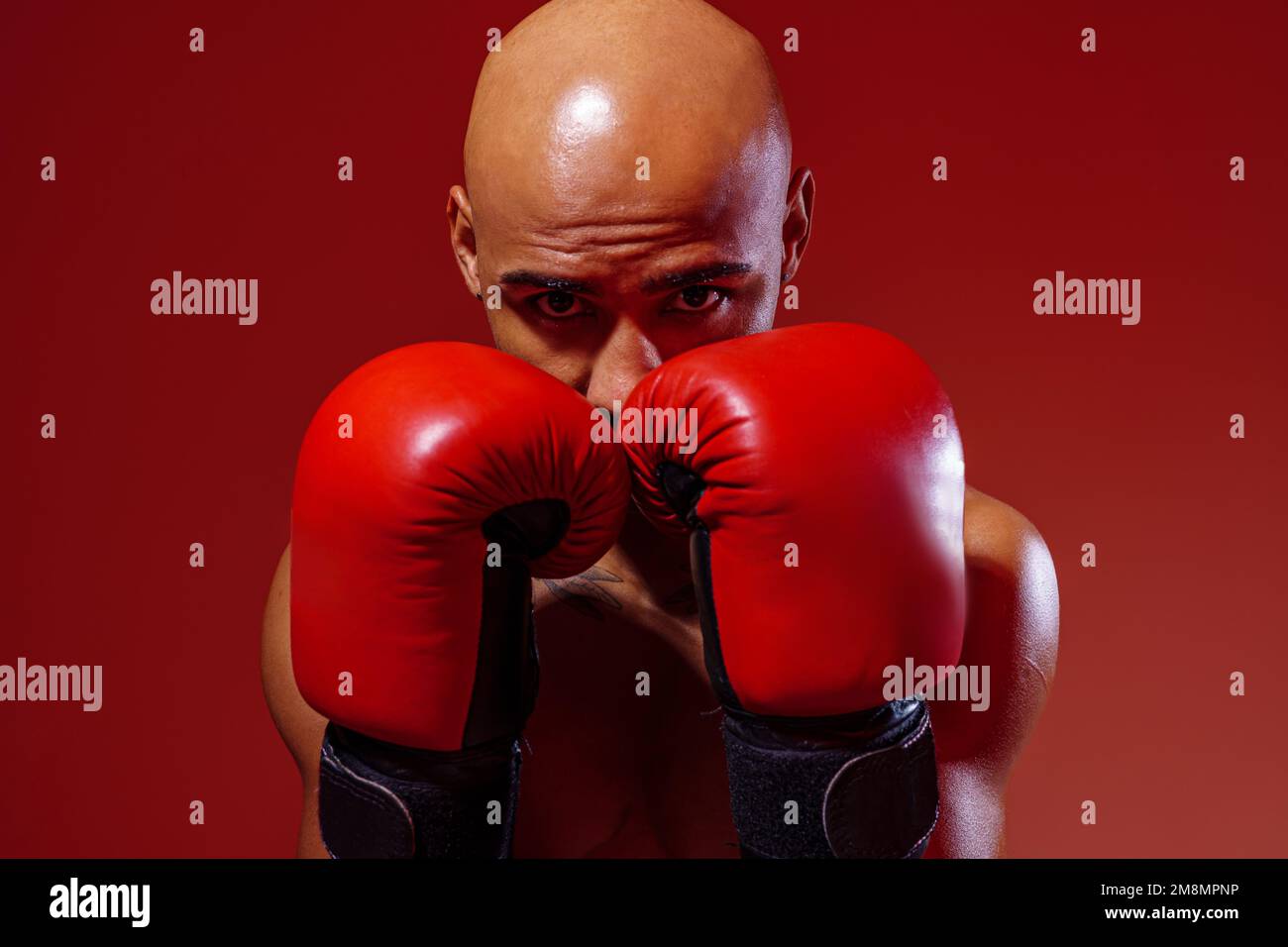 Portrait d'un sportif portant des gants de boxe pratiquant le combat sur fond de studio Banque D'Images