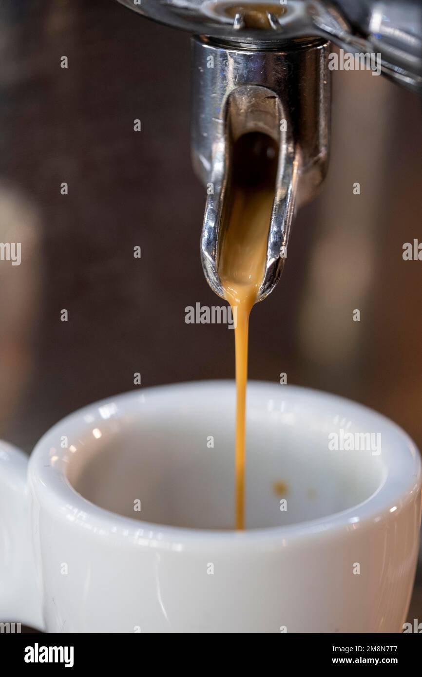 Expresso, café, Barista, café, Bar, Bar italien, Italie Banque D'Images