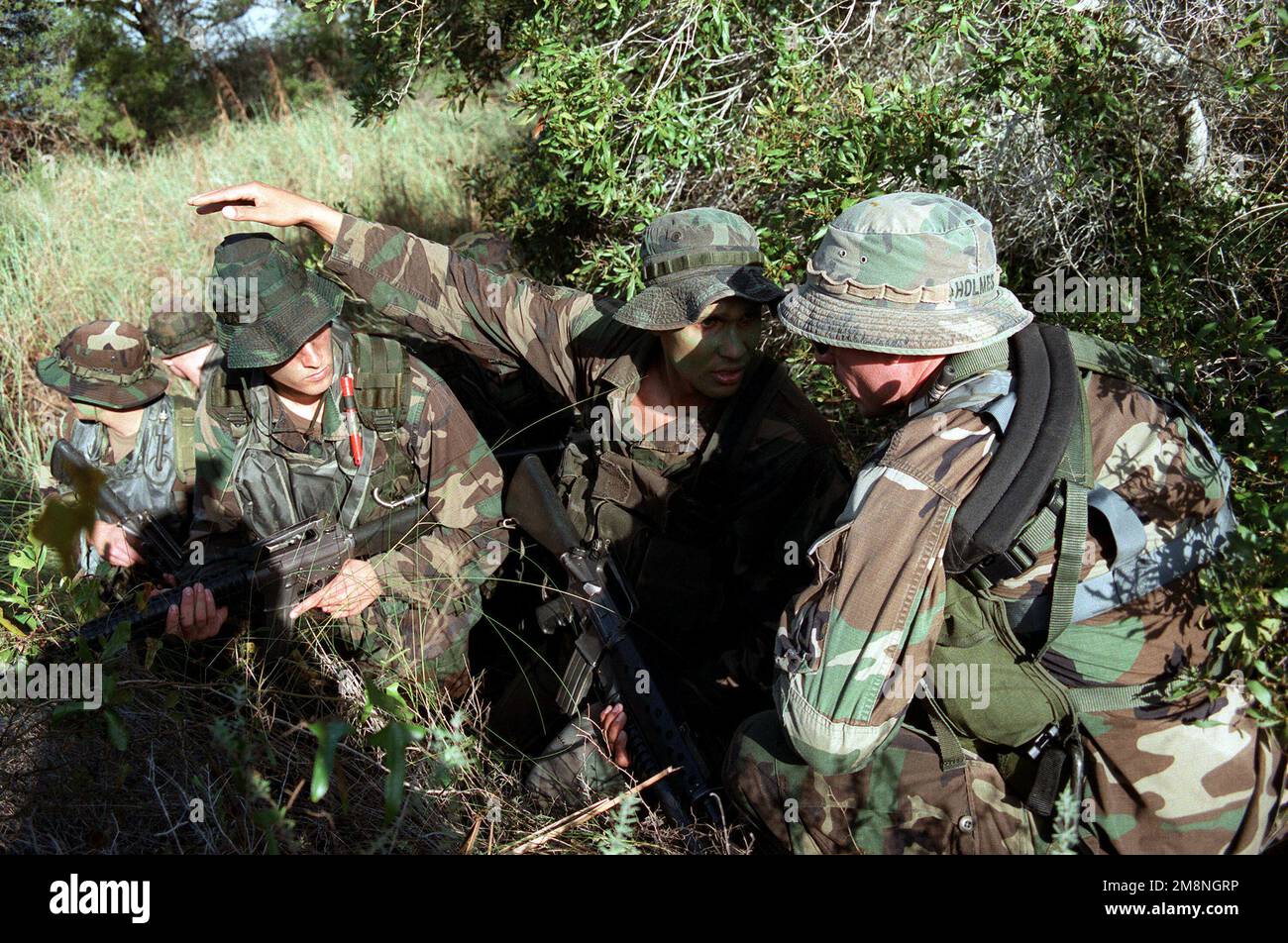 Forêt de marins camouflés du bataillon de reconnaissance 2nd portant M16s escale dans le champ pour concevoir un plan d'engagement pendant leur fausse infiltration d'une zone près de fort Walton Beach, Hurlbert Field, Floride. Base: Hurlburt Field État: Floride (FL) pays: Etats-Unis d'Amérique (USA) Banque D'Images