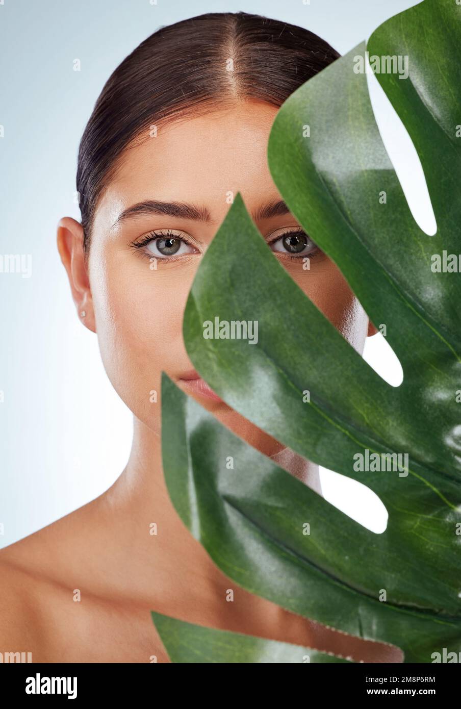 .Portrait d'une femme inconnue couvrant son visage avec une feuille de plante monstère verte. Vue d'ensemble du modèle caucasien posant sur un fond gris dans un Banque D'Images