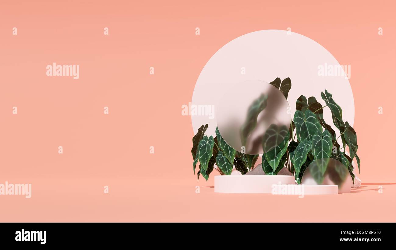 Une illustration en 3D d'une vitrine décorée de fleurs avec espace copie Banque D'Images