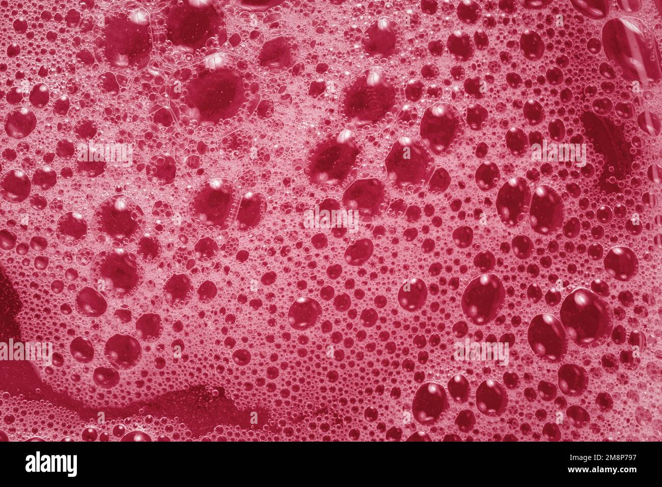 Texture mousse rose. Viva magenta arrière-plan abstrait. La couleur de tendance de 2023. Macrophotographie de bulles de savon de shampooing. Mise en page pour la conception de CO Banque D'Images