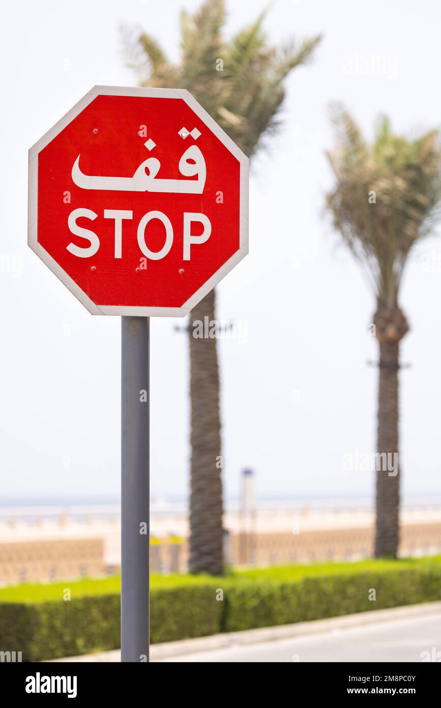 Gros plan d'un panneau d'arrêt de rue écrit à la fois en arabe et en caractères romains, sur un fond flou avec des palmiers Banque D'Images