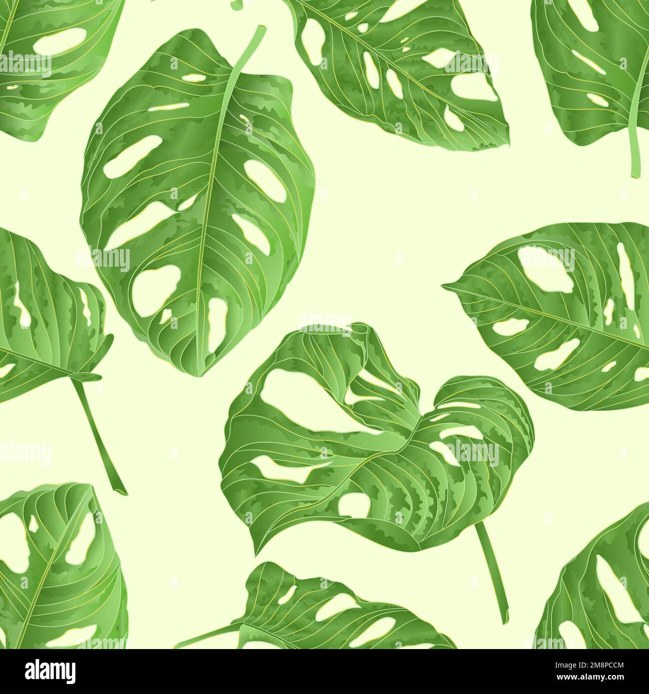 Texture sans couture feuille de plante tropicale de Monstera deliciosa silhouette naturelle et contour isolé sur un fond blanc aquarelle botanique dos Illustration de Vecteur