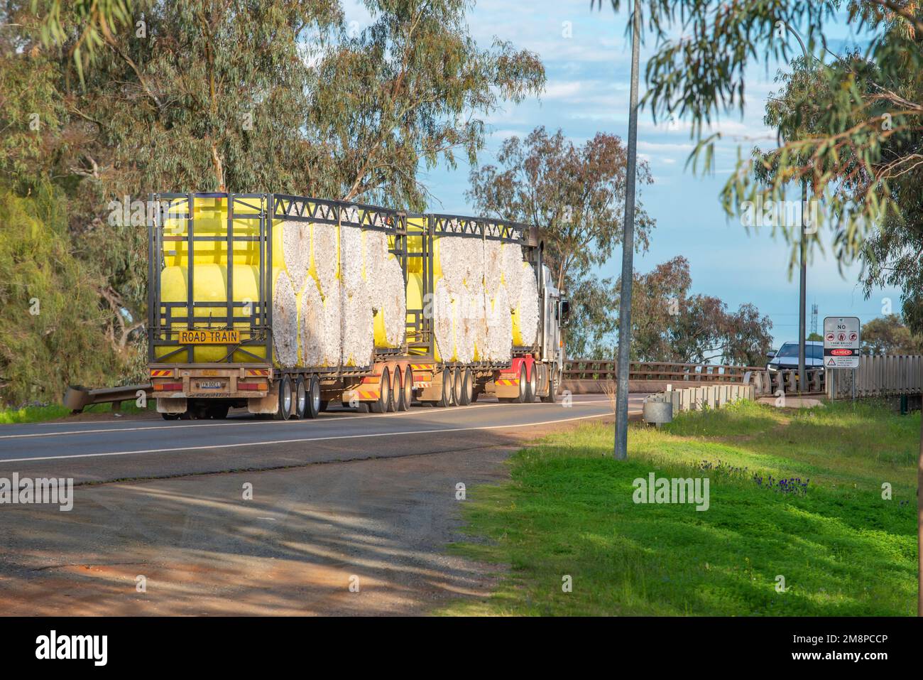 De grandes balles de coton brut roulées de couleur jaune transportées par route sur un semi-remorque à Nyngan, dans le nord-ouest de la Nouvelle-Galles du Sud, en Australie Banque D'Images